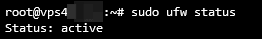 Checking UFW Firewall Status