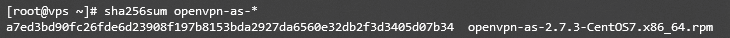 Checksum Output