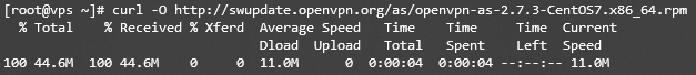 Downloading OpenVPN Package